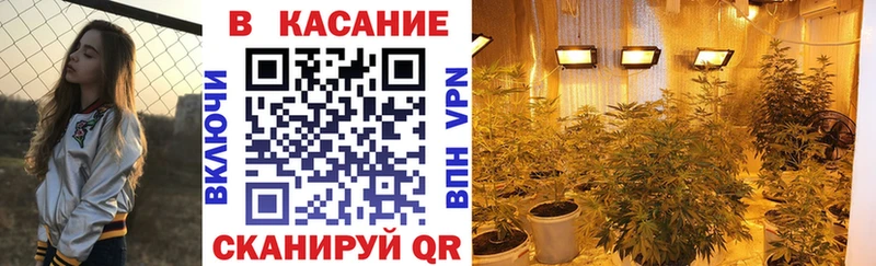 Где купить наркотики Дубовка Конопля гидра зеркало МЕФ Кокаин